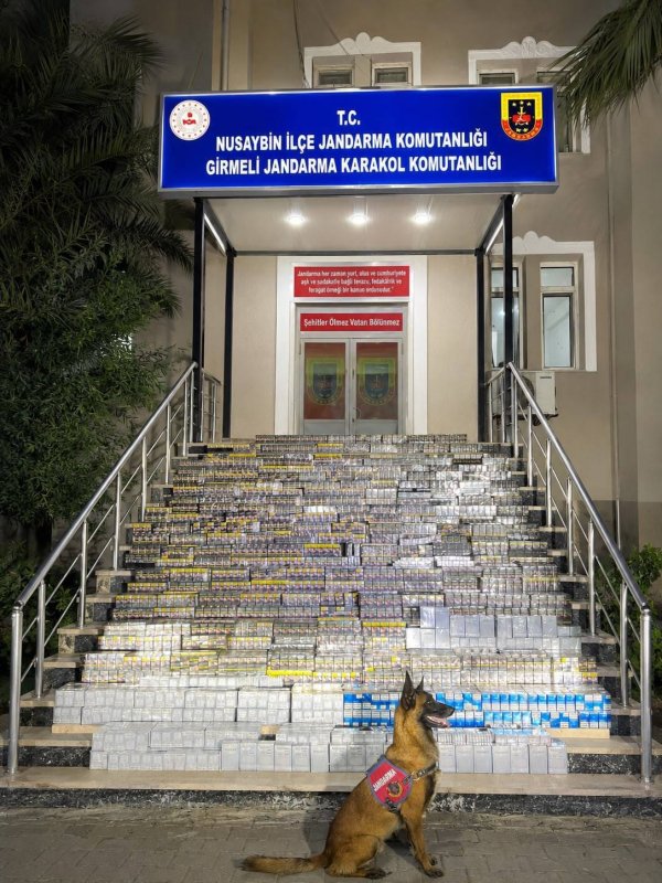 Mardin’de 2 Milyon Liralık Kaçak Sigara Operasyonu