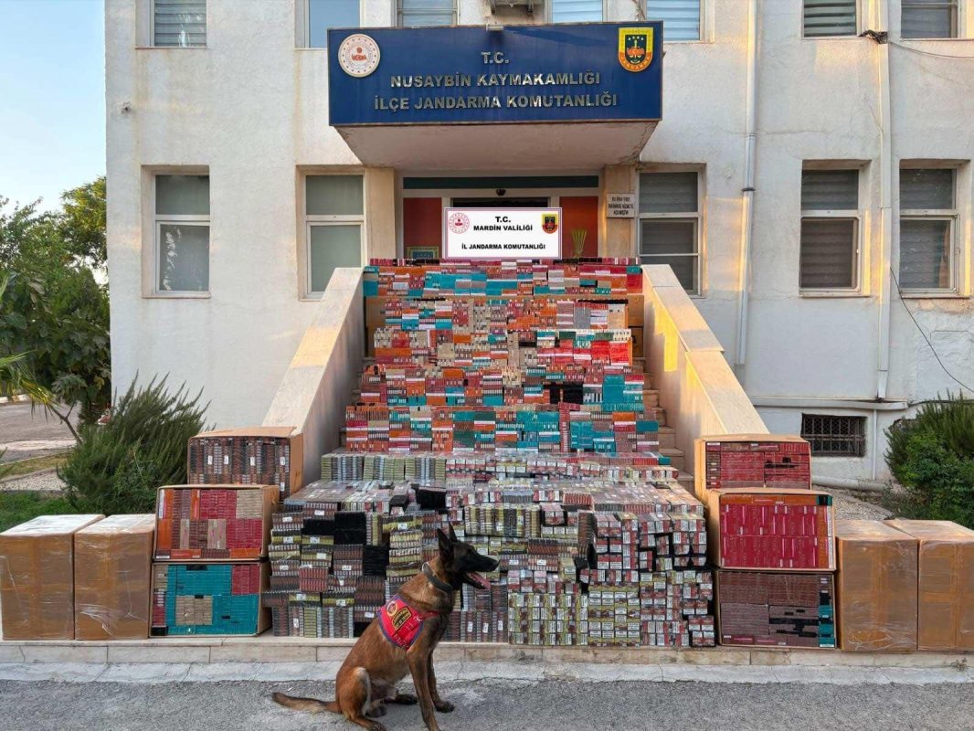 Mardin’de Kaçak Tütün Operasyonu 16 Milyon Liralık Ürün Ele Geçirildi