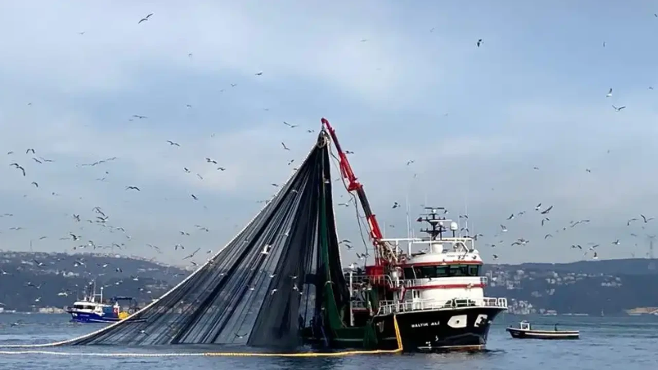 Balıkçılık Sezonu Beklentilerin Altında Tamamlandı