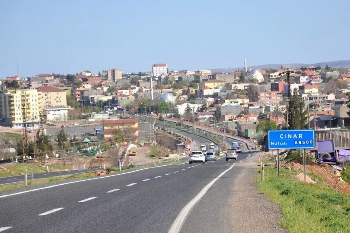 Bunları Biliyor Muydunuz? Çınar!