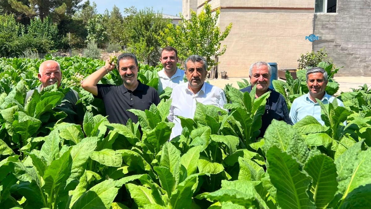 Genel Başkan Yardımcısı Bilal Yıldırım’dan Adıyaman'da tütün üreticisine destek açıklaması  - Videolu Haber