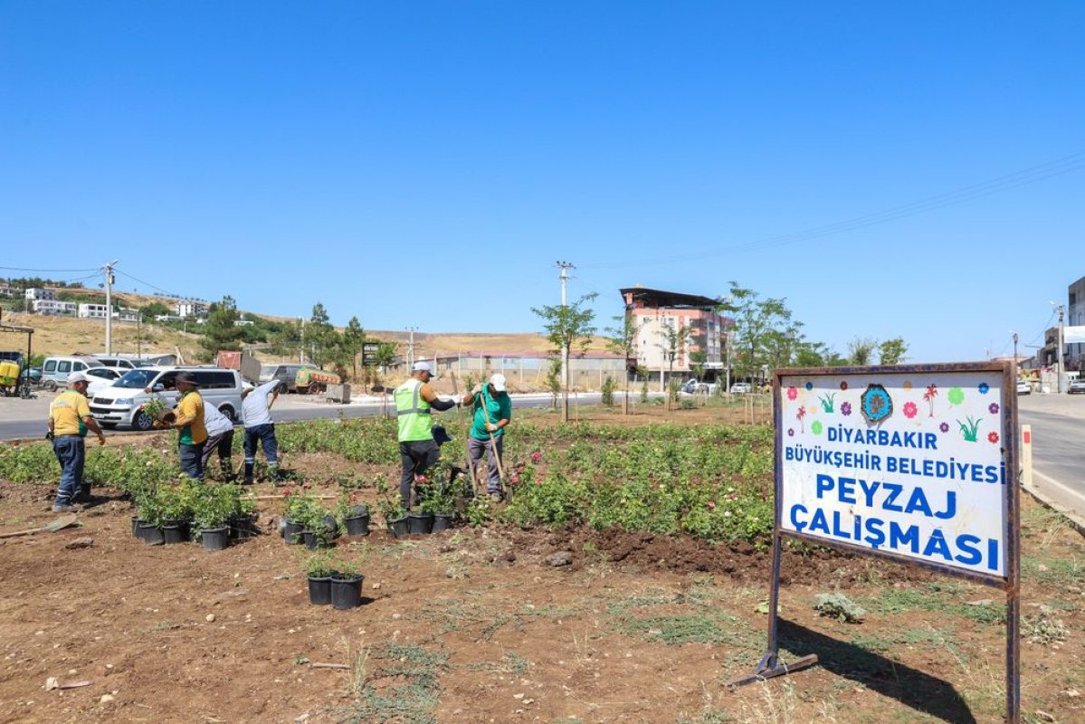 Mardin Yolu 14 Bin 200 Gülle Yeni Bir Görünüme Kavuşuyor