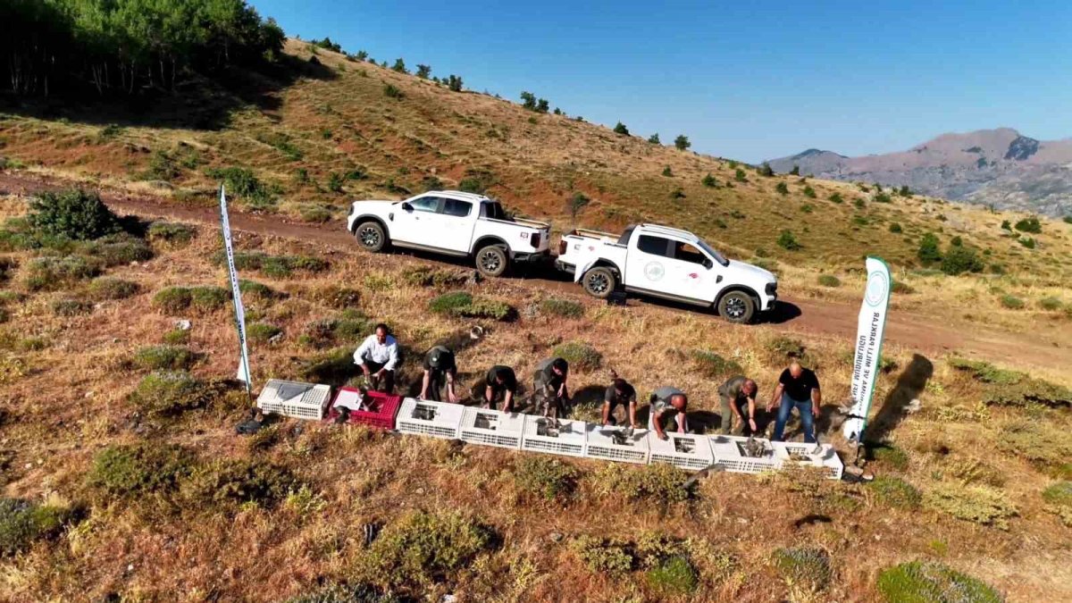 Diyarbakır'da Keneye Karşı Doğal Mücadele Başlatıldı